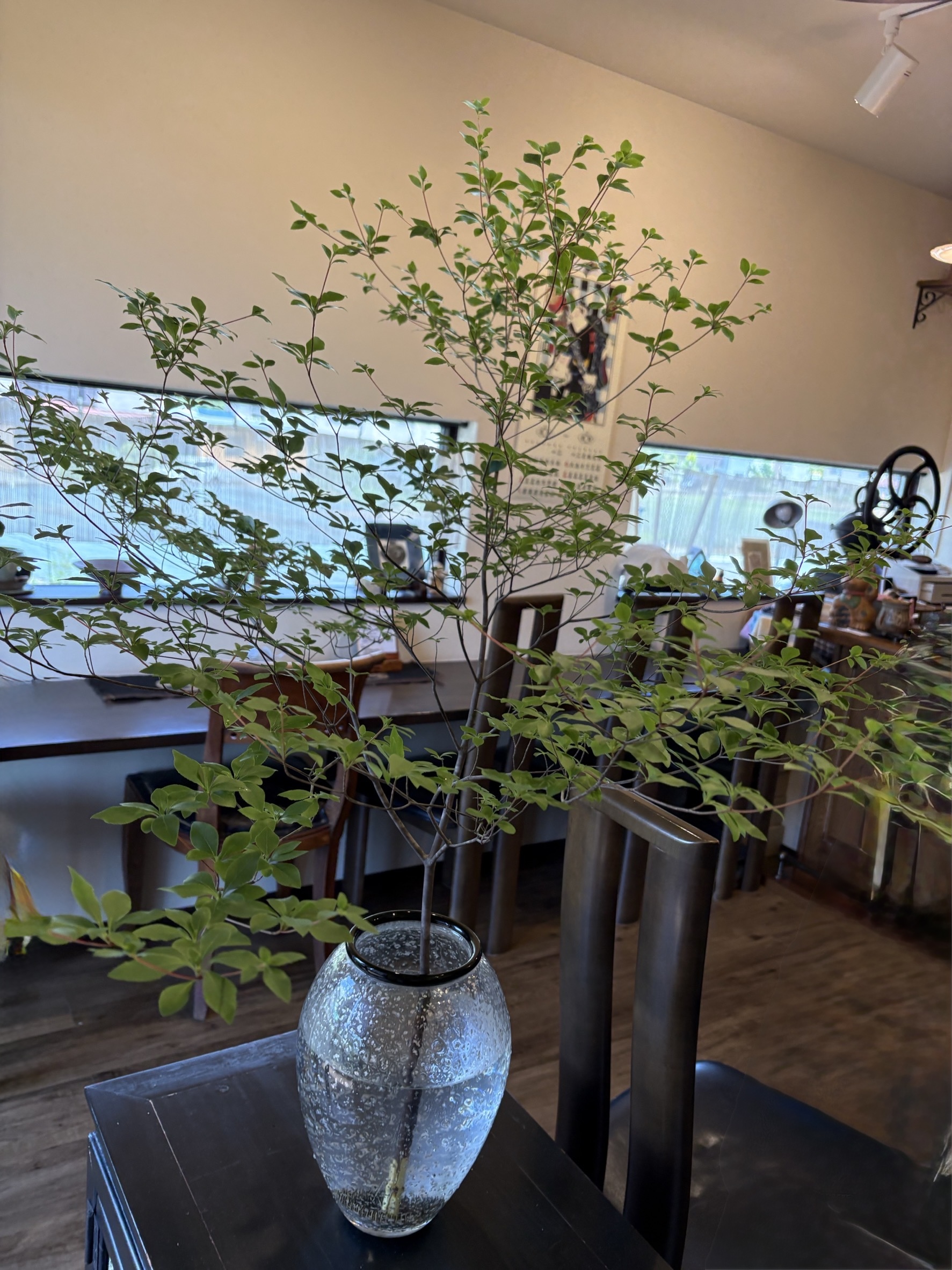 店舗イメージ